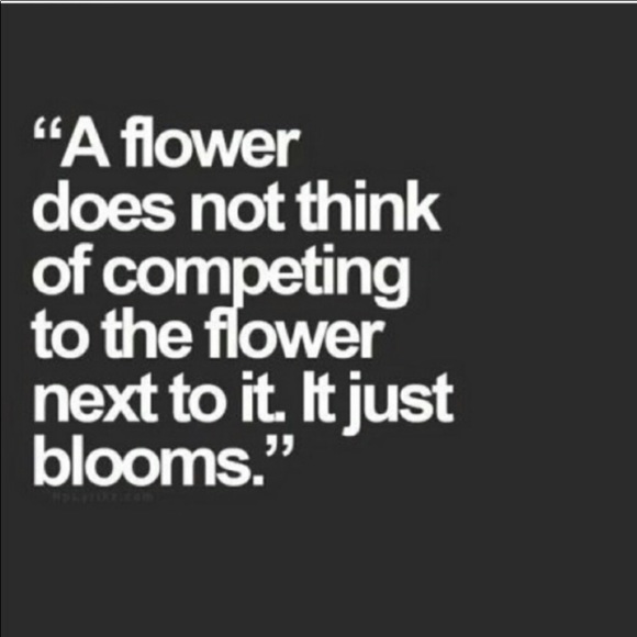 CLOSET CLOSING•SALE•make me any offer - Picture 3 of 16